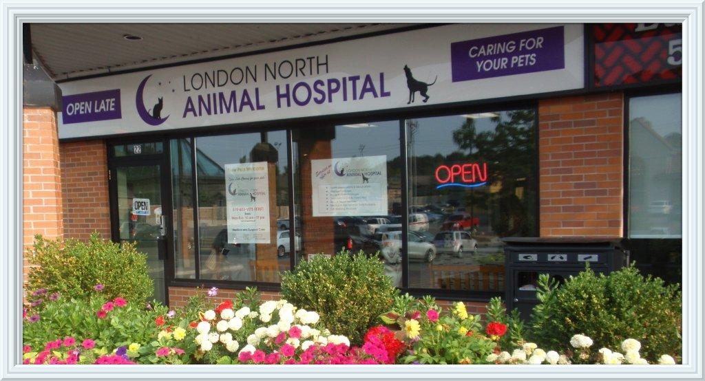 About in London, ON | London North Animal Hospital